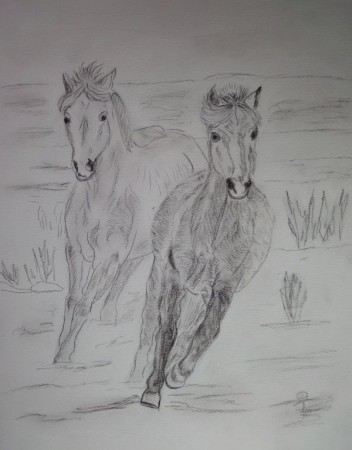 Pferde im Schnee 27cm x 35cm Kohlezeichnung